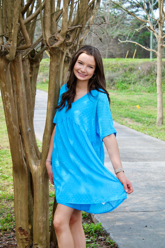 Zenana Swiss Dot Babydoll Dress